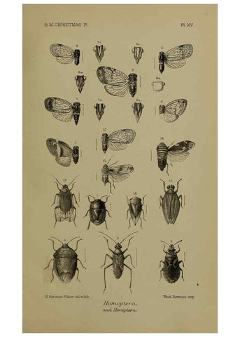 Reproducción/Reproduction 6376436671: A monograph of Christmas Island (Indian Ocean) London,Printed by order of the Trustees,1900