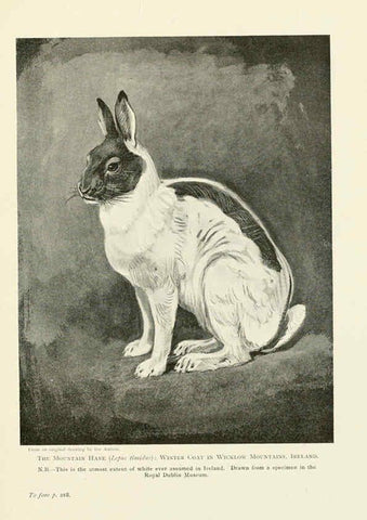 Reproducción/Reproduction 6358185107: British mammals...by Sir Harry Johnston. London,Hutchinson,1903