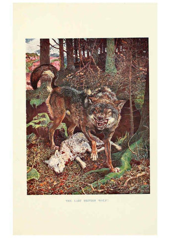 Reproducción/Reproduction 6358180767: British mammals...by Sir Harry Johnston. London,Hutchinson,1903
