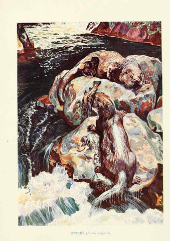 Reproducción/Reproduction 6358181711: British mammals...by Sir Harry Johnston. London,Hutchinson,1903