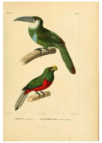 Reproducción/Reproduction 6303197768: Voyage dans l'Amérique Méridionale. v.9. Paris :Pitois-Levrault,1835-47