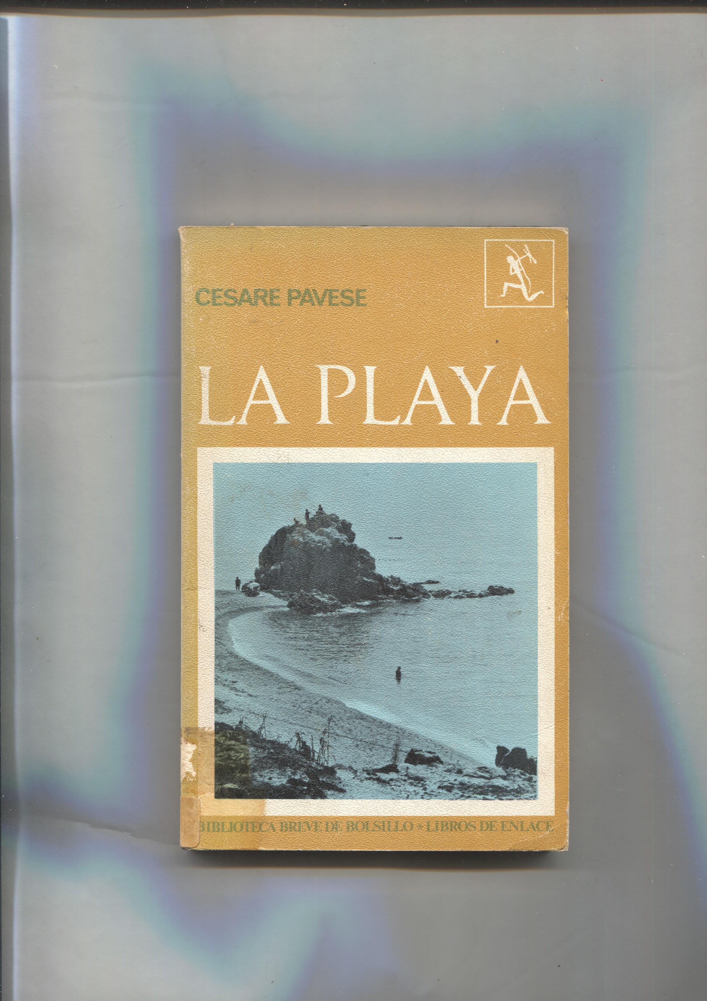 Libros de enlace: La Playa