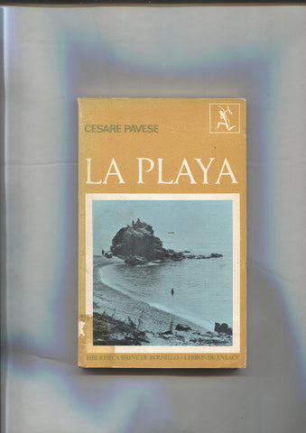 Libros de enlace: La Playa