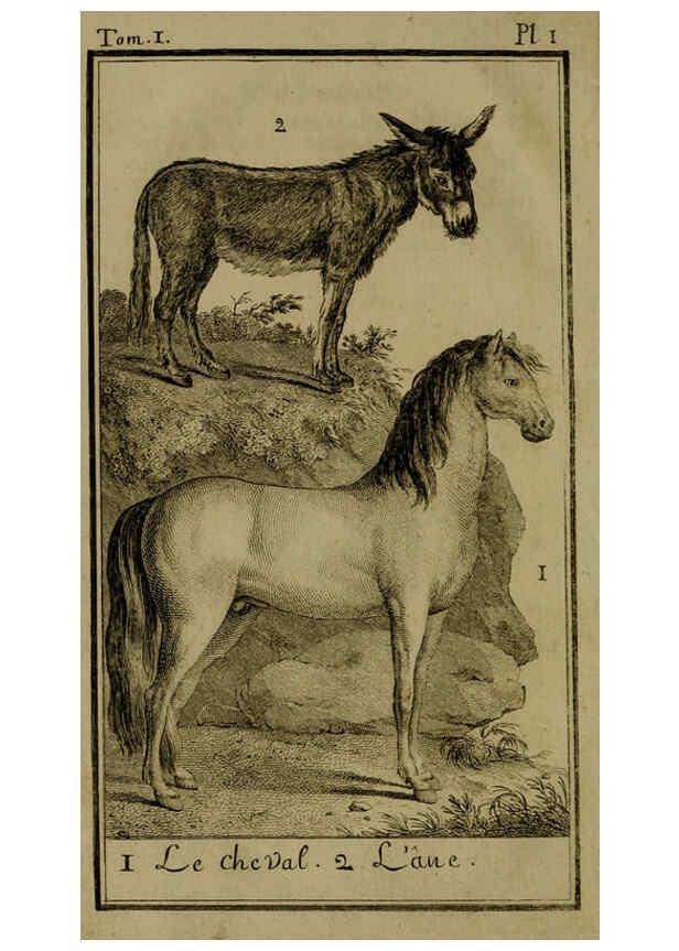 Reproducción/Reproduction 6301831805: Histoire naturelle, générale et particulière, avec la description du Cabinet du roi. Tome I. Paris,De l'Imprimerie royale,1750-1804