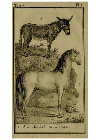 Reproducción/Reproduction 6301831805: Histoire naturelle, générale et particulière, avec la description du Cabinet du roi. Tome I. Paris,De l'Imprimerie royale,1750-1804