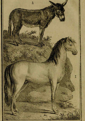 Reproducción/Reproduction 6301831805: Histoire naturelle, générale et particulière, avec la description du Cabinet du roi. Tome I. Paris,De l'Imprimerie royale,1750-1804