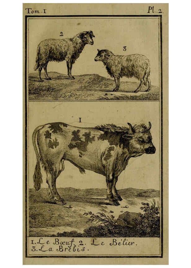 Reproducción/Reproduction 6301832057: Histoire naturelle, générale et particulière, avec la description du Cabinet du roi. Tome I. Paris,De l'Imprimerie royale,1750-1804
