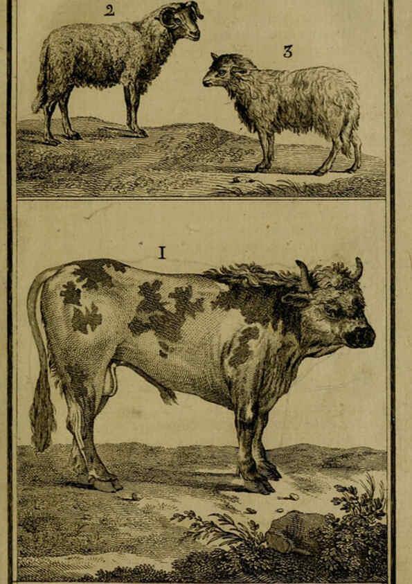 Reproducción/Reproduction 6301832057: Histoire naturelle, générale et particulière, avec la description du Cabinet du roi. Tome I. Paris,De l'Imprimerie royale,1750-1804