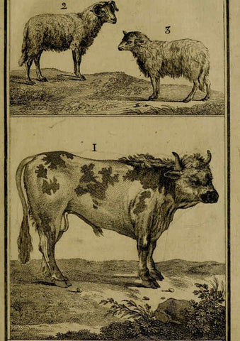 Reproducción/Reproduction 6301832057: Histoire naturelle, générale et particulière, avec la description du Cabinet du roi. Tome I. Paris,De l'Imprimerie royale,1750-1804