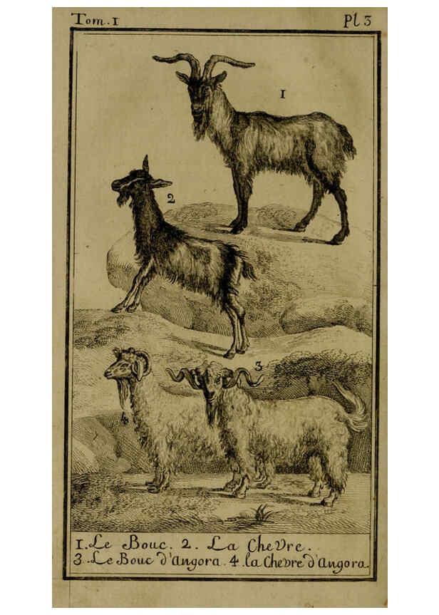 Reproducción/Reproduction 6301832279: Histoire naturelle, générale et particulière, avec la description du Cabinet du roi. Tome I. Paris,De l'Imprimerie royale,1750-1804