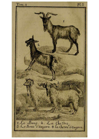 Reproducción/Reproduction 6301832279: Histoire naturelle, générale et particulière, avec la description du Cabinet du roi. Tome I. Paris,De l'Imprimerie royale,1750-1804