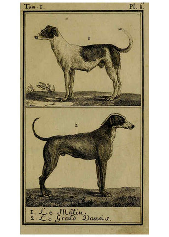 Reproducción/Reproduction 6302359052: Histoire naturelle, générale et particulière, avec la description du Cabinet du roi. Tome I. Paris,De l'Imprimerie royale,1750-1804