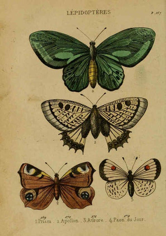 Reproducción/Reproduction 6302404842: Petit Buffon illustré Paris,Didier,1841