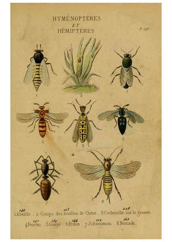 Reproducción/Reproduction 6301878665: Petit Buffon illustré Paris,Didier,1841