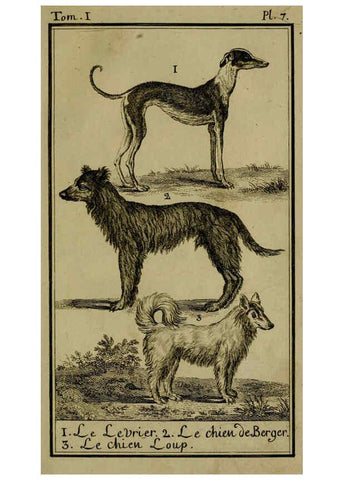 Reproducción/Reproduction 6301833209: Histoire naturelle, générale et particulière, avec la description du Cabinet du roi. Tome I. Paris,De l'Imprimerie royale,1750-1804