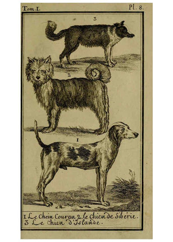 Reproducción/Reproduction 6302359484: Histoire naturelle, générale et particulière, avec la description du Cabinet du roi. Tome I. Paris,De l'Imprimerie royale,1750-1804