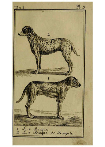 Reproducción/Reproduction 6302359786: Histoire naturelle, générale et particulière, avec la description du Cabinet du roi. Tome I. Paris,De l'Imprimerie royale,1750-1804