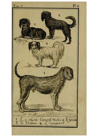 Reproducción/Reproduction 6302360178: Histoire naturelle, générale et particulière, avec la description du Cabinet du roi. Tome I. Paris,De l'Imprimerie royale,1750-1804