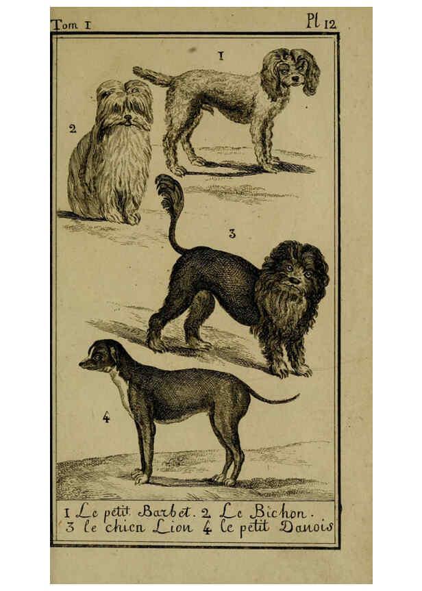 Reproducción/Reproduction 6301834529: Histoire naturelle, générale et particulière, avec la description du Cabinet du roi. Tome I. Paris,De l'Imprimerie royale,1750-1804