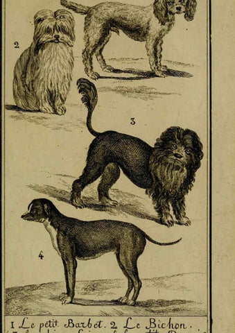 Reproducción/Reproduction 6301834529: Histoire naturelle, générale et particulière, avec la description du Cabinet du roi. Tome I. Paris,De l'Imprimerie royale,1750-1804