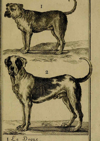 Reproducción/Reproduction 6301834921: Histoire naturelle, générale et particulière, avec la description du Cabinet du roi. Tome I. Paris,De l'Imprimerie royale,1750-1804