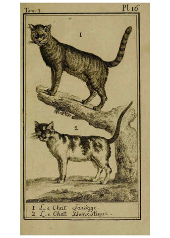 Reproducción/Reproduction 6301835433: Histoire naturelle, générale et particulière, avec la description du Cabinet du roi. Tome I. Paris,De l'Imprimerie royale,1750-1804