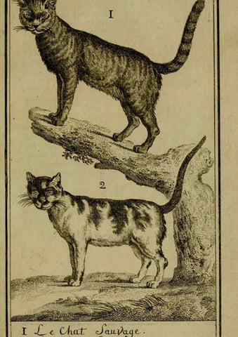 Reproducción/Reproduction 6301835433: Histoire naturelle, générale et particulière, avec la description du Cabinet du roi. Tome I. Paris,De l'Imprimerie royale,1750-1804