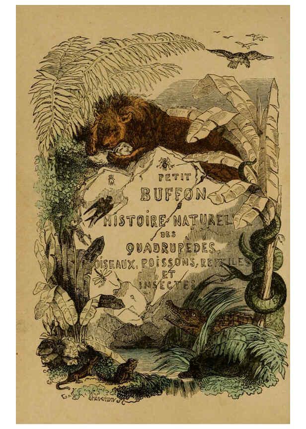 Reproducción/Reproduction 6301876363: Petit Buffon illustré Paris,Didier,1841
