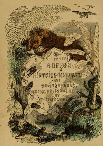 Reproducción/Reproduction 6301876363: Petit Buffon illustré Paris,Didier,1841