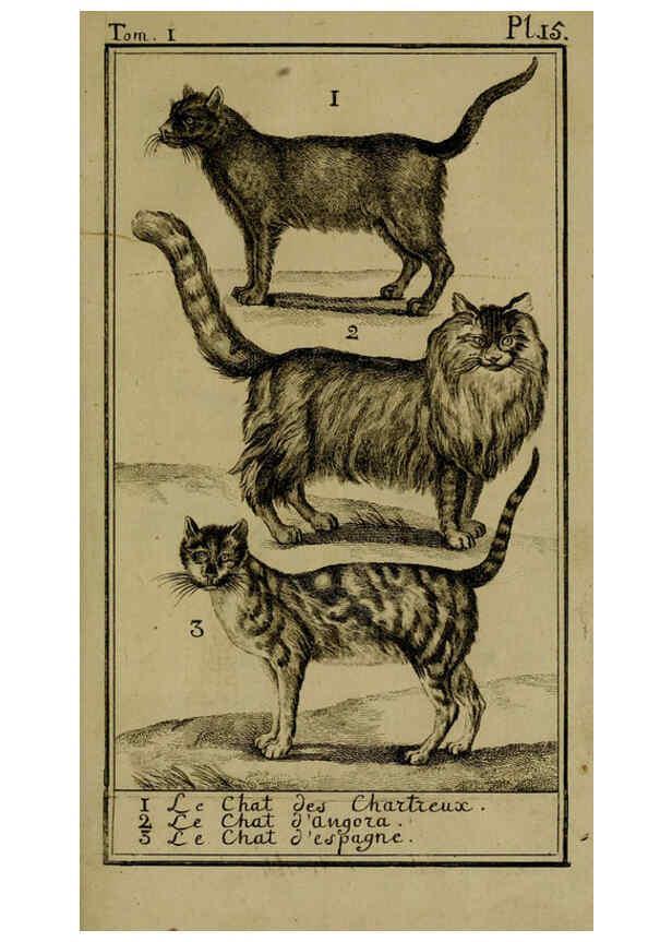 Reproducción/Reproduction 6302361118: Histoire naturelle, générale et particulière, avec la description du Cabinet du roi. Tome I. Paris,De l'Imprimerie royale,1750-1804