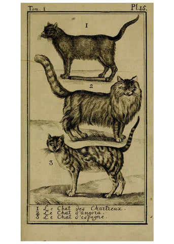 Reproducción/Reproduction 6302361118: Histoire naturelle, générale et particulière, avec la description du Cabinet du roi. Tome I. Paris,De l'Imprimerie royale,1750-1804