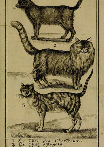 Reproducción/Reproduction 6302361118: Histoire naturelle, générale et particulière, avec la description du Cabinet du roi. Tome I. Paris,De l'Imprimerie royale,1750-1804