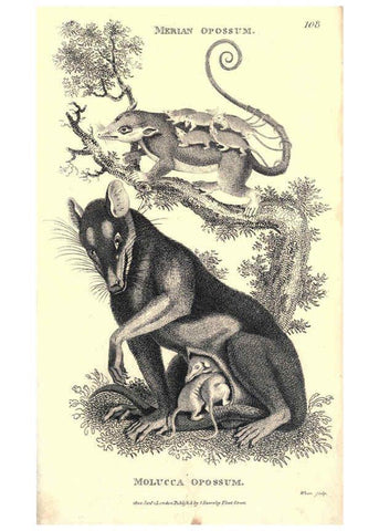 Reproducción/Reproduction 6302823872: General zoology, or Systematic natural history. v.1. pt. 2. London,Printed for G. Kearsley,1800-1826