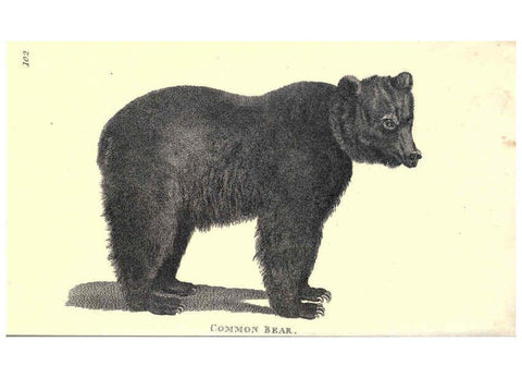 Reproducción/Reproduction 6302296863: General zoology, or Systematic natural history. v.1. pt. 2. London,Printed for G. Kearsley,1800-1826
