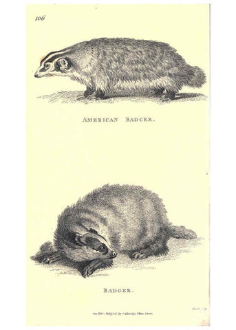 Reproducción/Reproduction 6302823182: General zoology, or Systematic natural history. v.1. pt. 2. London,Printed for G. Kearsley,1800-1826