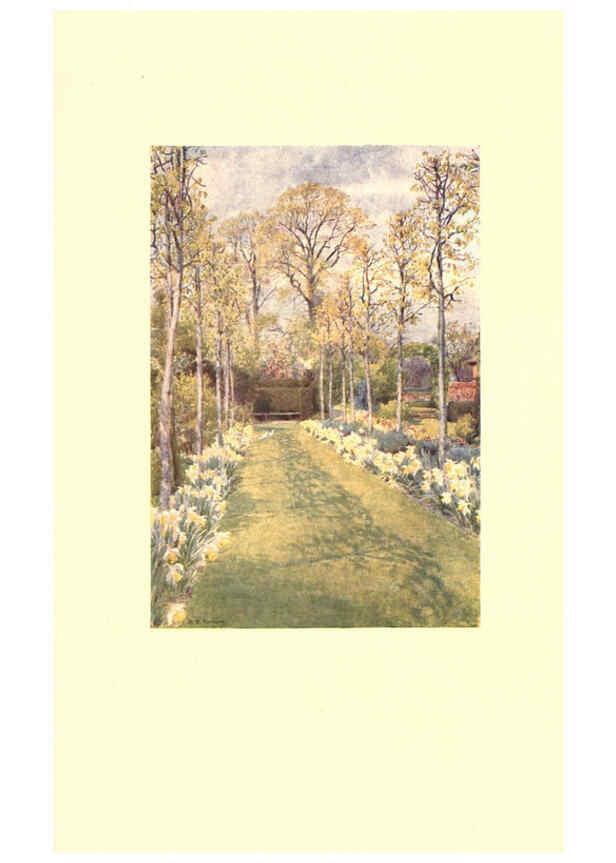 Reproducción/Reproduction 6302898568: The lure of the garden New York :The Century Co.,1911
