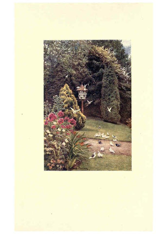 Reproducción/Reproduction 6302375929: The lure of the garden New York :The Century Co.,1911