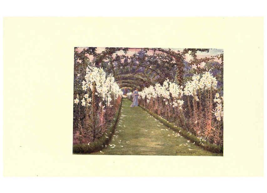 Reproducción/Reproduction 6302894880: The lure of the garden New York :The Century Co.,1911