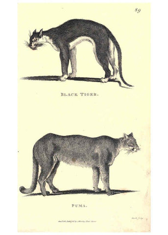 Reproducción/Reproduction 6302817304: General zoology, or Systematic natural history. v.1. pt. 2. London,Printed for G. Kearsley,1800-1826