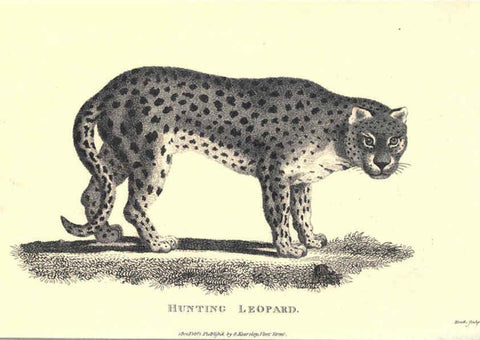Reproducción/Reproduction 6302816336: General zoology, or Systematic natural history. v.1. pt. 2. London,Printed for G. Kearsley,1800-1826