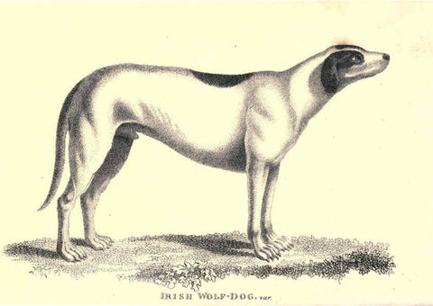 Reproducción/Reproduction 6302287737: General zoology, or Systematic natural history. v.1. pt. 2. London,Printed for G. Kearsley,1800-1826