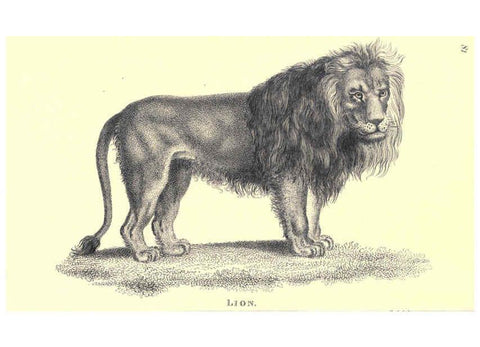 Reproducción/Reproduction 6302814266: General zoology, or Systematic natural history. v.1. pt. 2. London,Printed for G. Kearsley,1800-1826