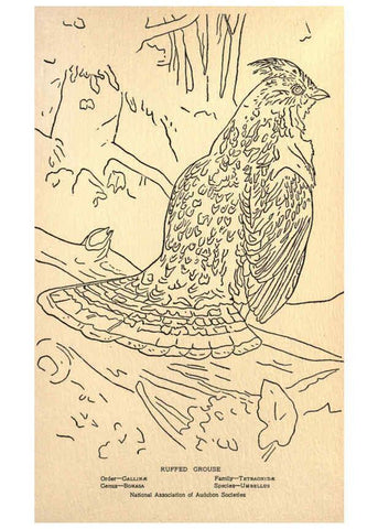 Reproducción/Reproduction 6302212879: Portraits and habits of our birds v.2. New York city :National association of Audubon societies,1920- 
