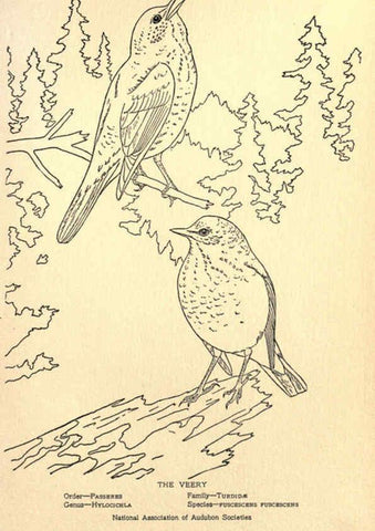 Reproducción/Reproduction 6302741538: Portraits and habits of our birds v.2. New York city :National association of Audubon societies,1920- 