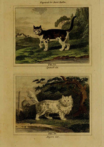 Reproducción/Reproduction 6306327070: Buffon's Natural history. v.6. London:Printed for the Proprietor, and sold by H. D. Symonds,1797-1807