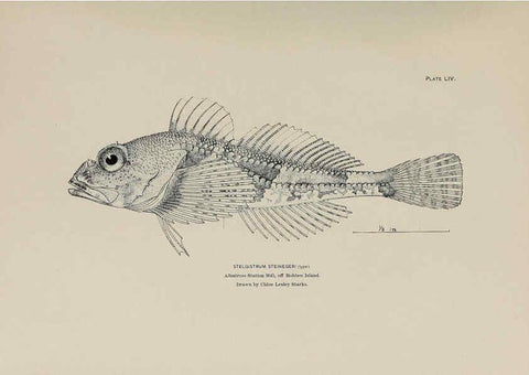Reproducción/Reproduction 6306166800: The fur seals and fur-seal islands of the North Pacific Ocean. v.3. Washington,Govt. Print. Off.,1898-99