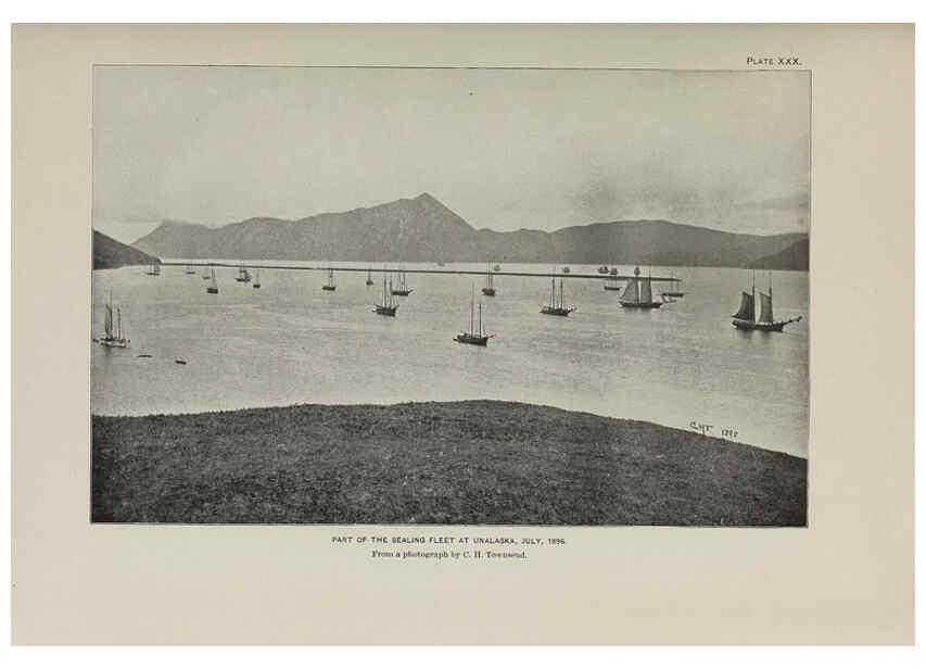 Reproducción/Reproduction 6306161944: The fur seals and fur-seal islands of the North Pacific Ocean. v.3. Washington,Govt. Print. Off.,1898-99