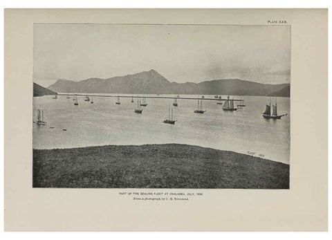 Reproducción/Reproduction 6306161944: The fur seals and fur-seal islands of the North Pacific Ocean. v.3. Washington,Govt. Print. Off.,1898-99
