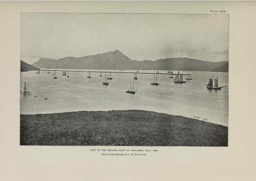 Reproducción/Reproduction 6306161944: The fur seals and fur-seal islands of the North Pacific Ocean. v.3. Washington,Govt. Print. Off.,1898-99