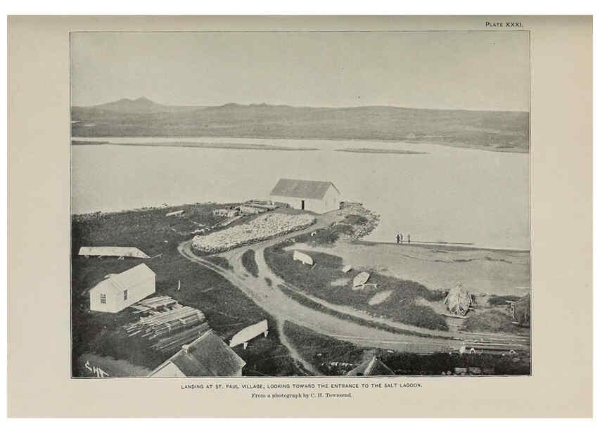 Reproducción/Reproduction 6305638543: The fur seals and fur-seal islands of the North Pacific Ocean. v.3. Washington,Govt. Print. Off.,1898-99